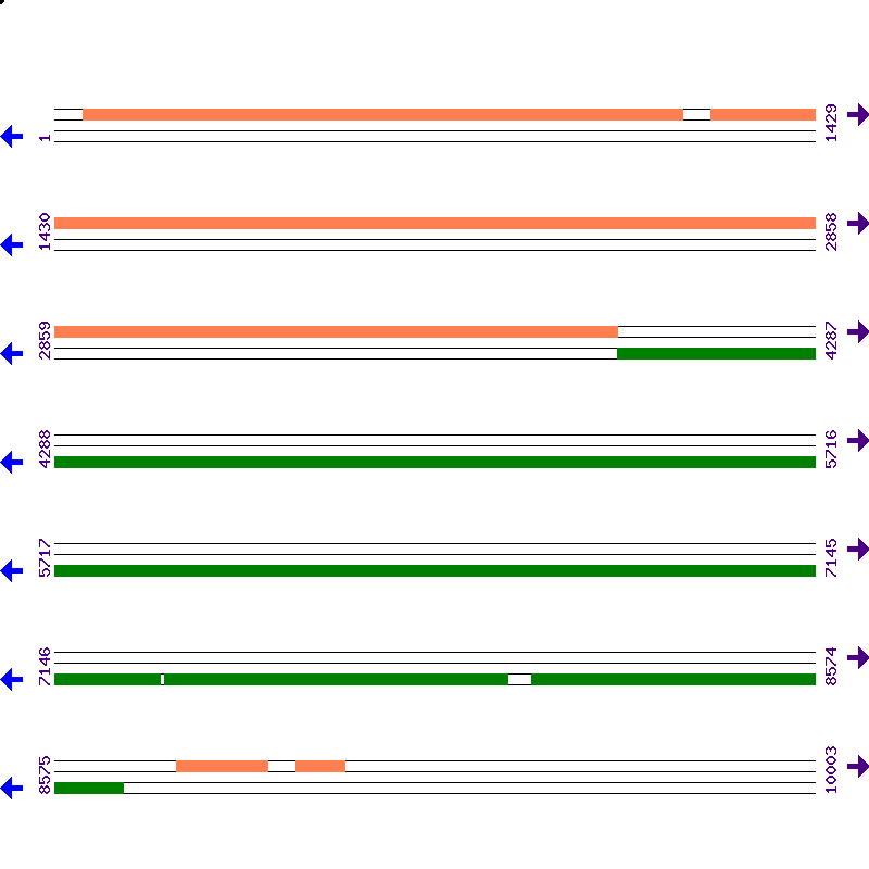 Genome View