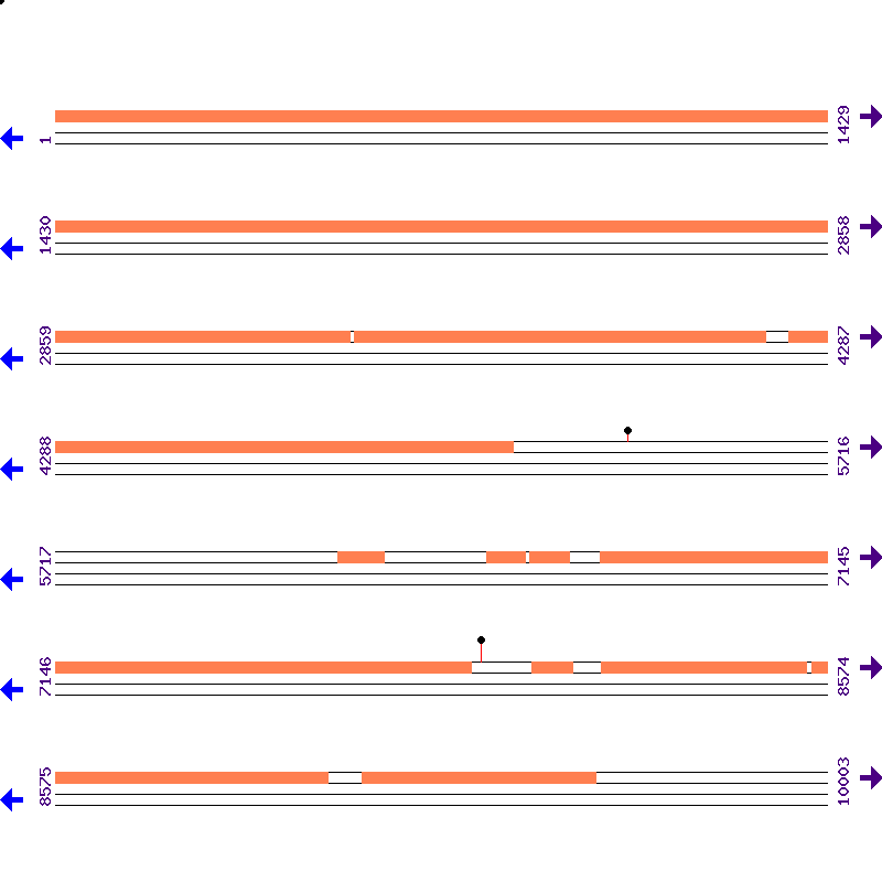 Genome View