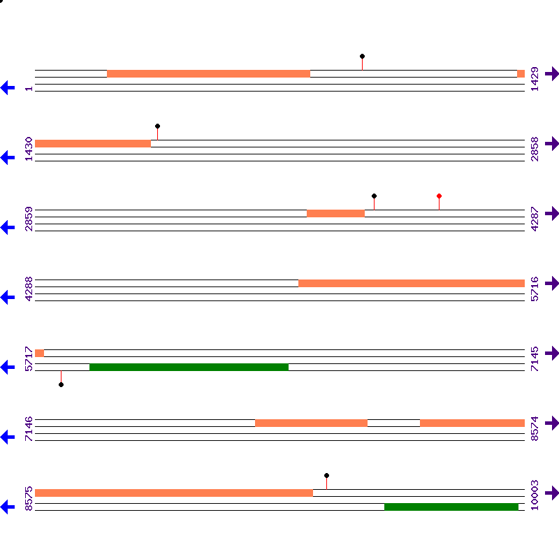 Genome View