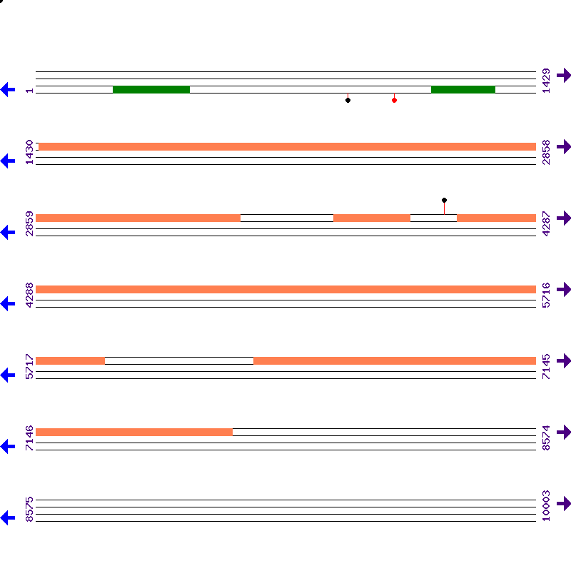 Genome View