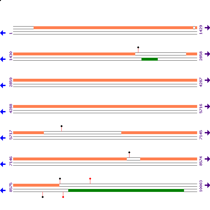 Genome View