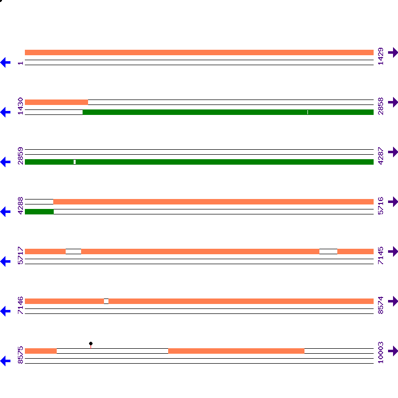 Genome View