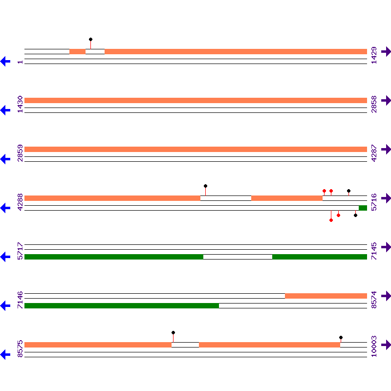 Genome View