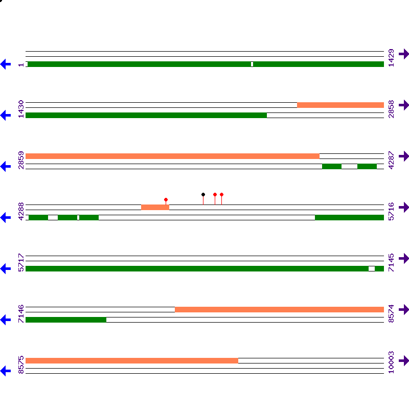 Genome View