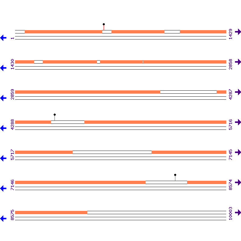 Genome View