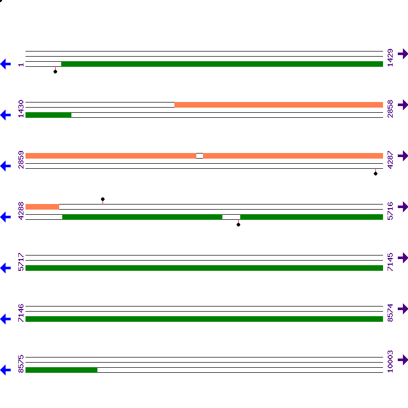 Genome View