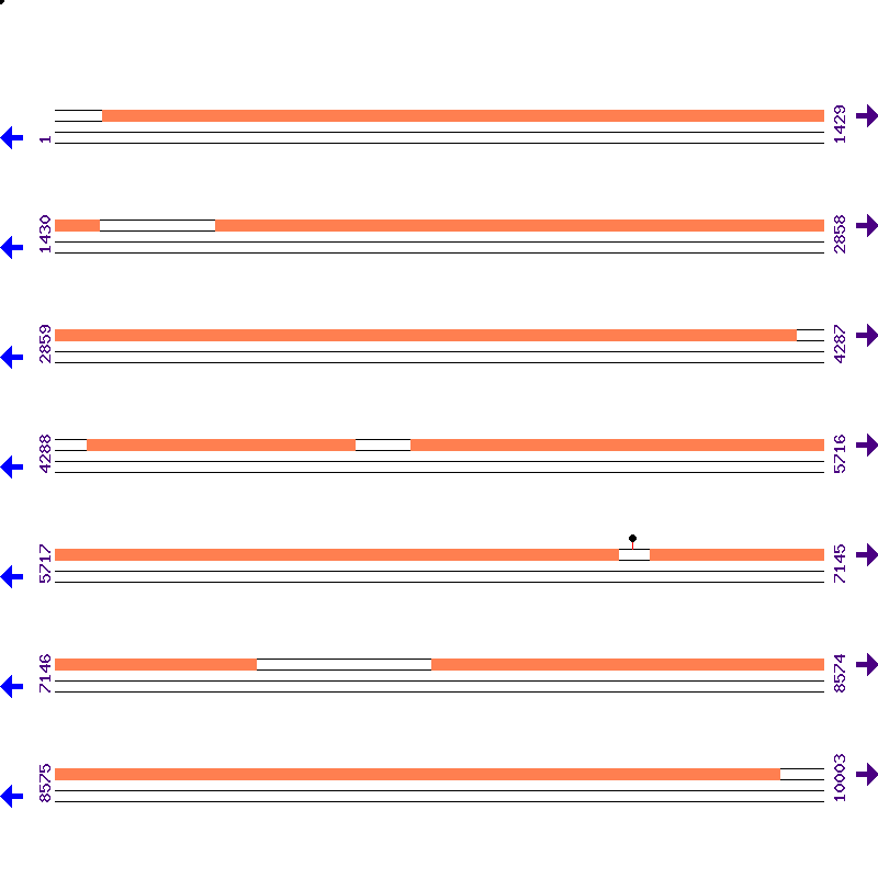 Genome View