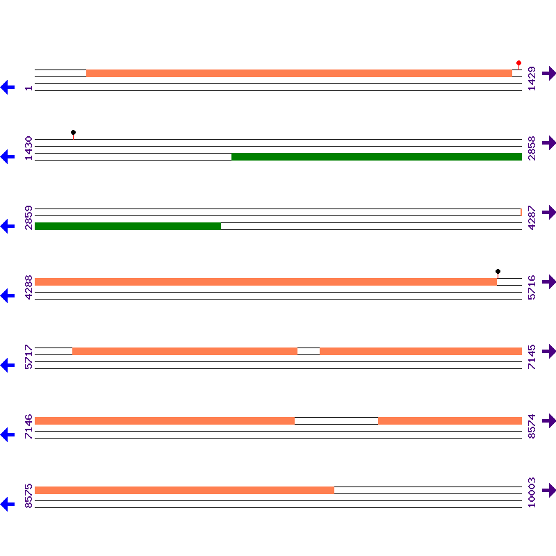 Genome View