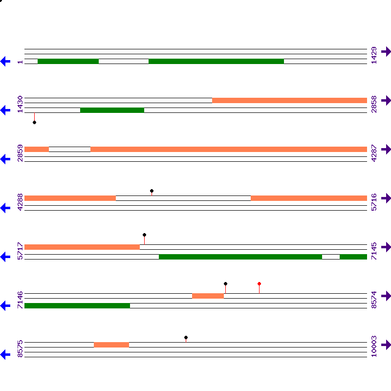 Genome View