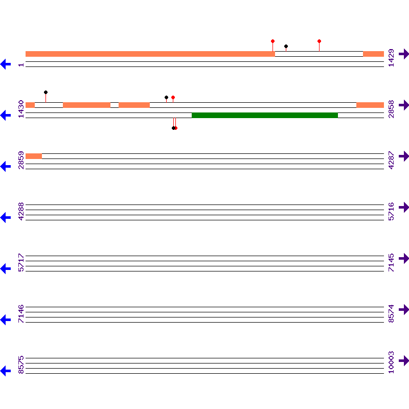 Genome View