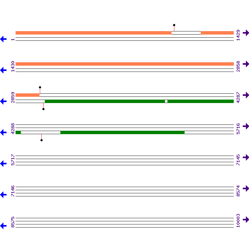Genome View