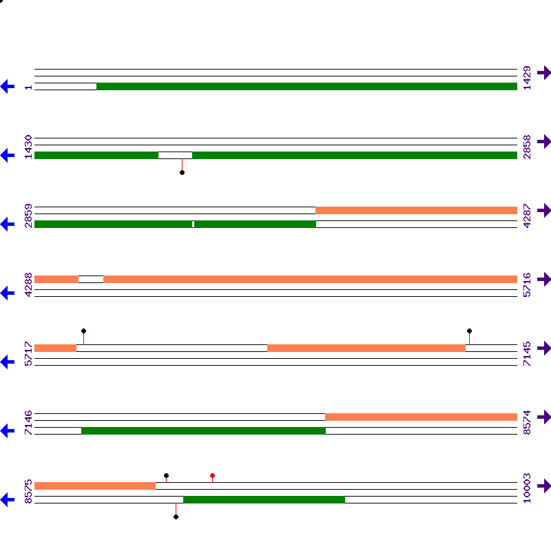 Genome View