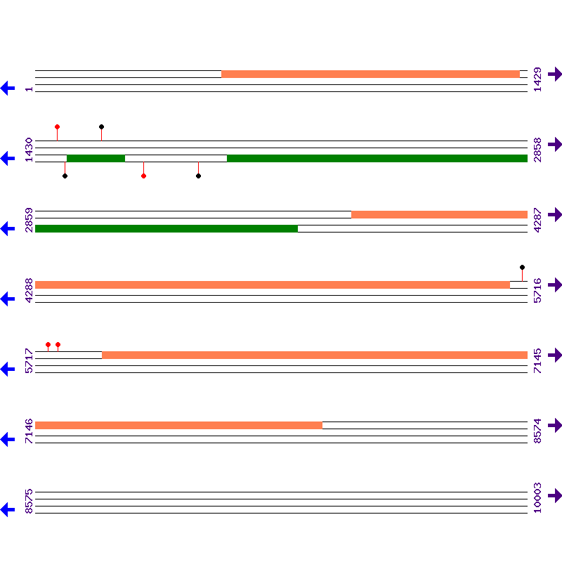 Genome View