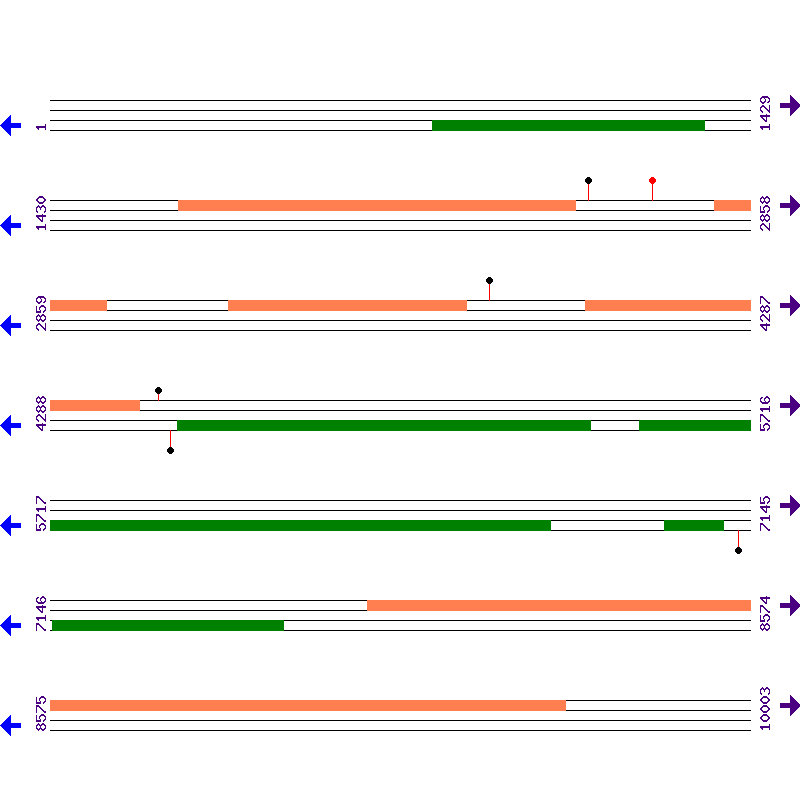 Genome View