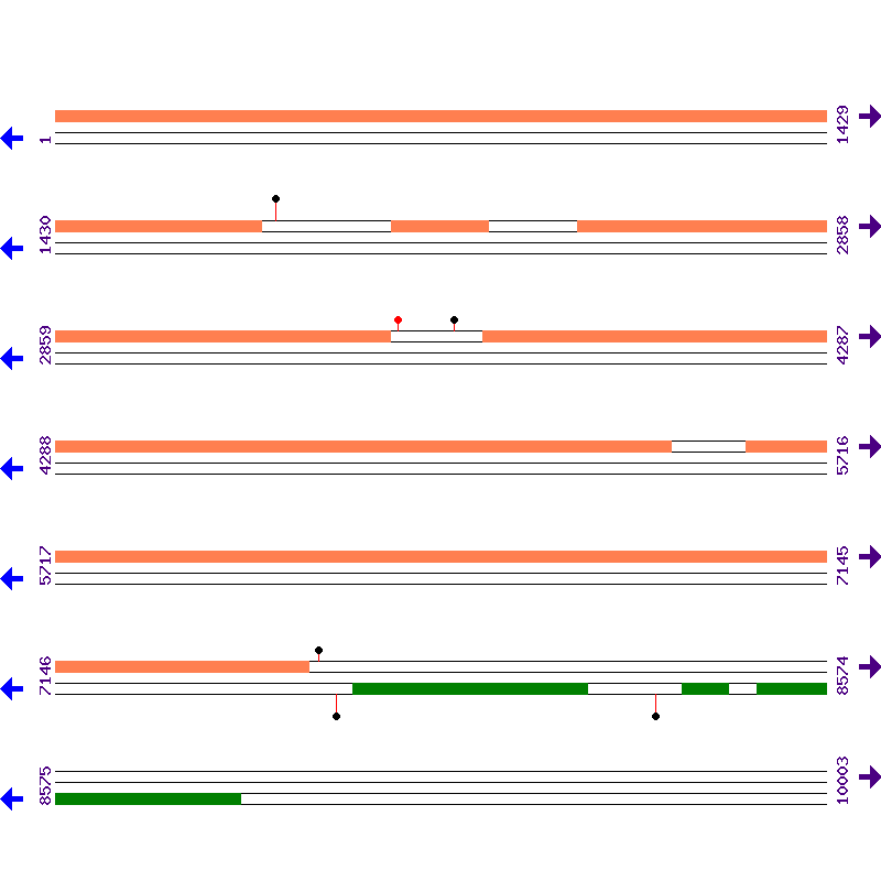 Genome View