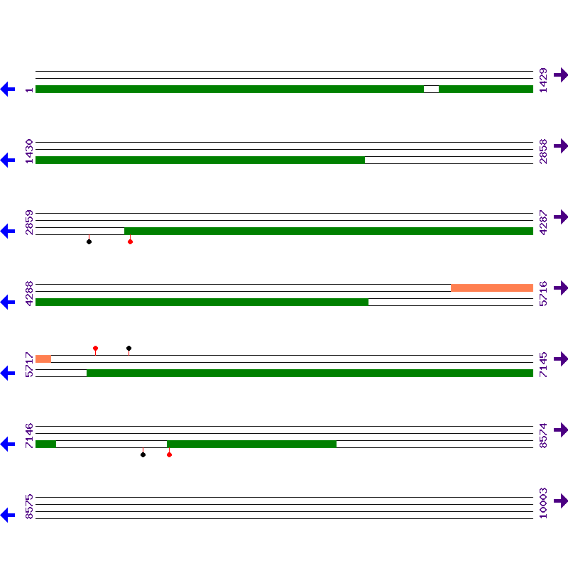 Genome View