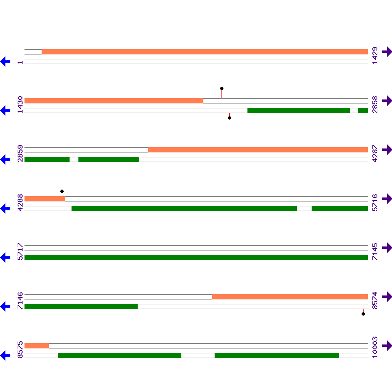 Genome View