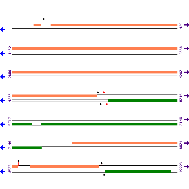 Genome View