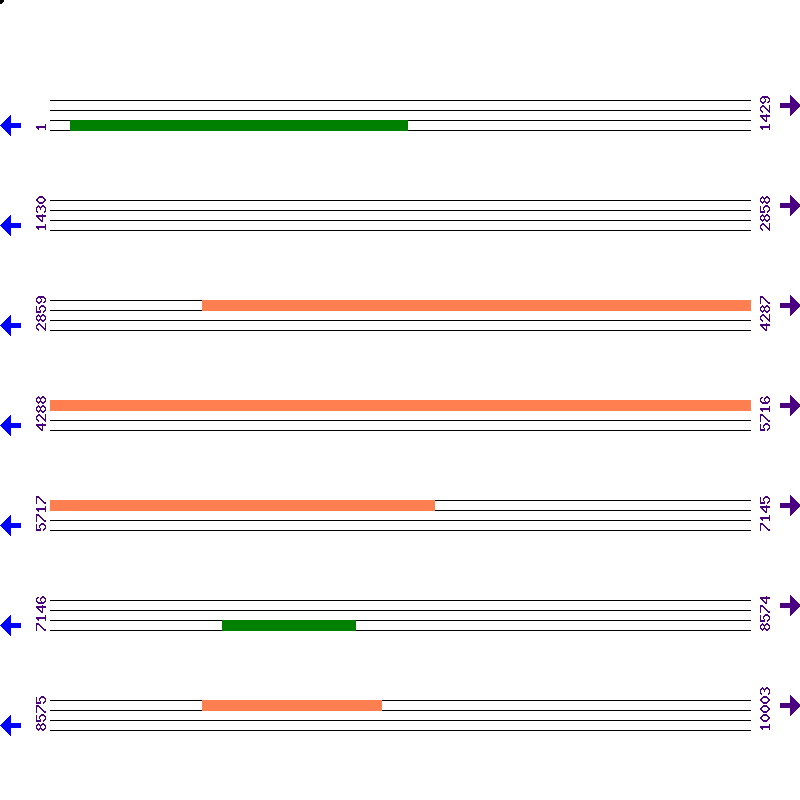 Genome View