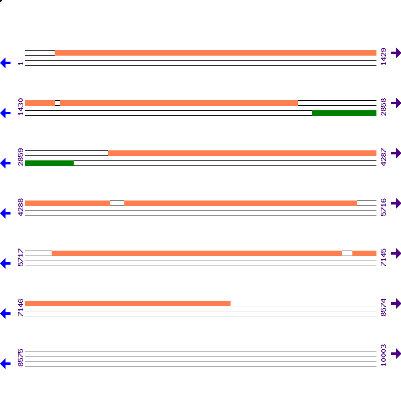 Genome View