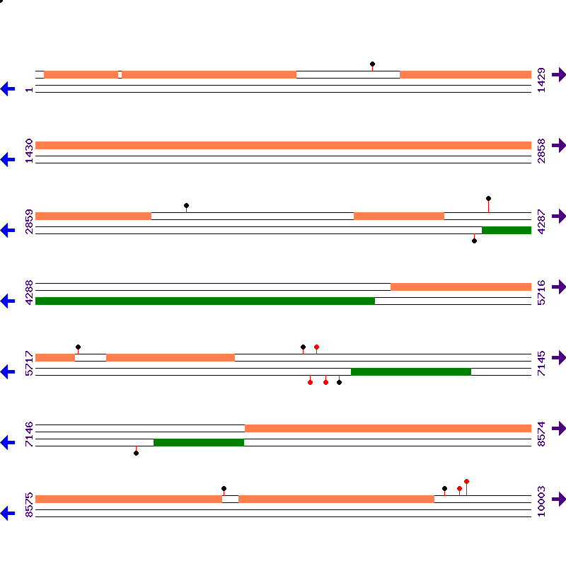 Genome View
