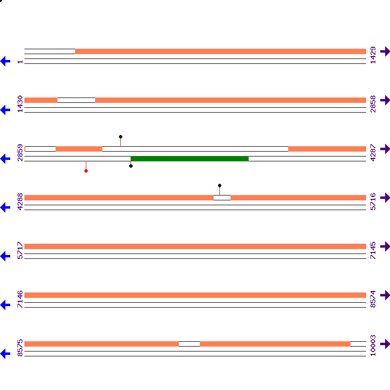 Genome View