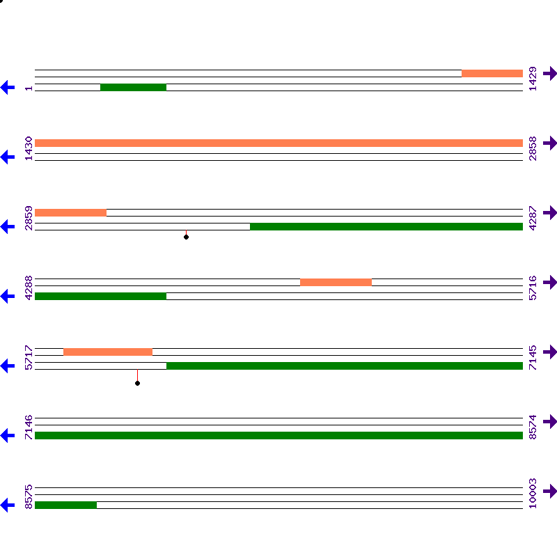 Genome View