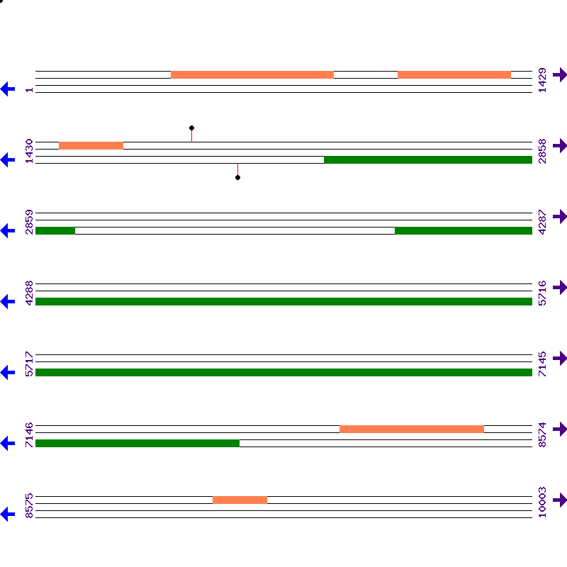Genome View