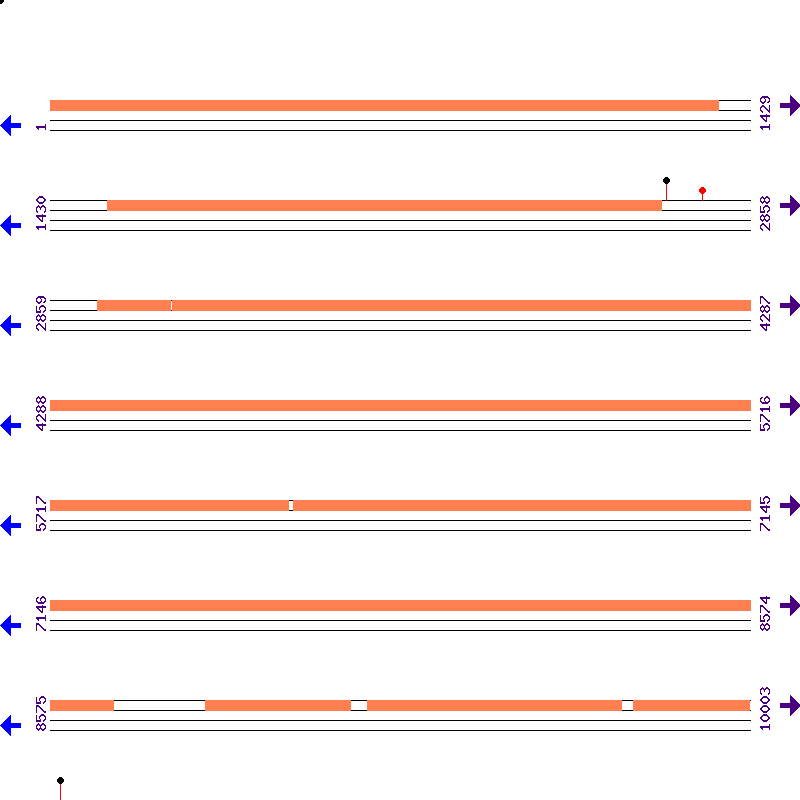 Genome View