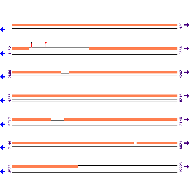 Genome View