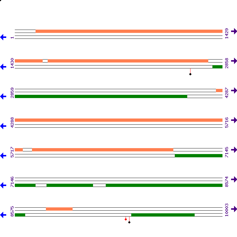 Genome View