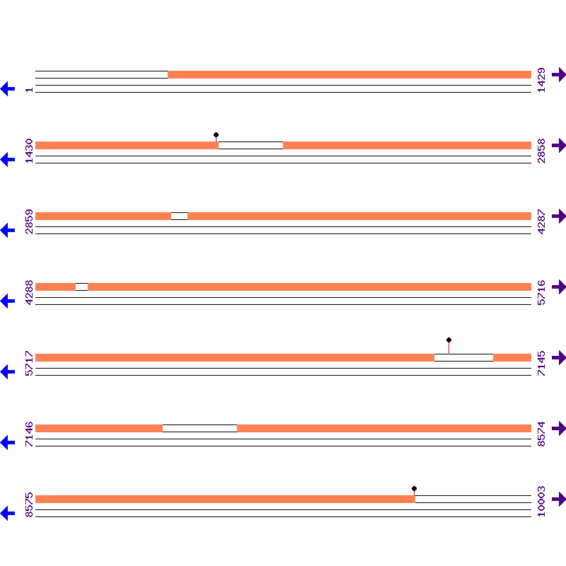 Genome View