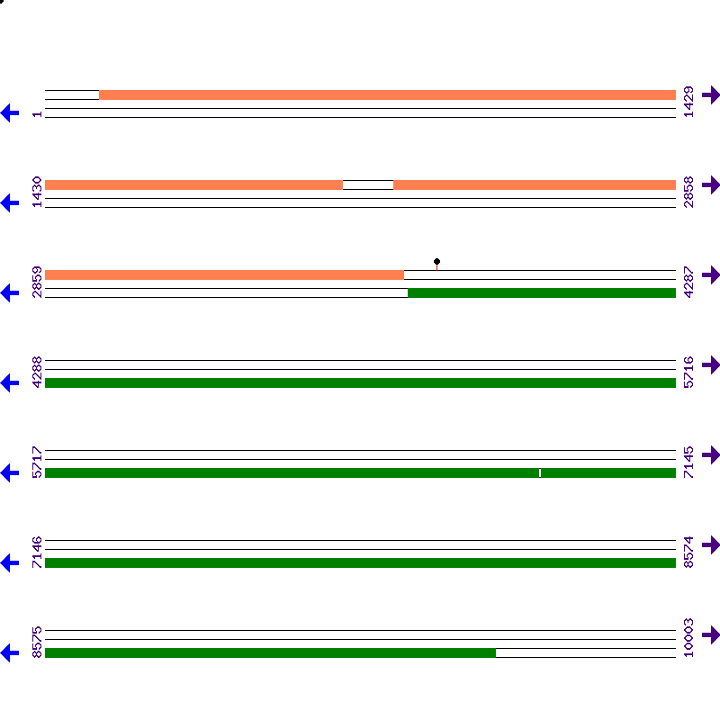 Genome View