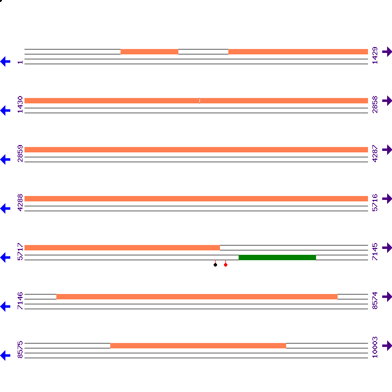 Genome View