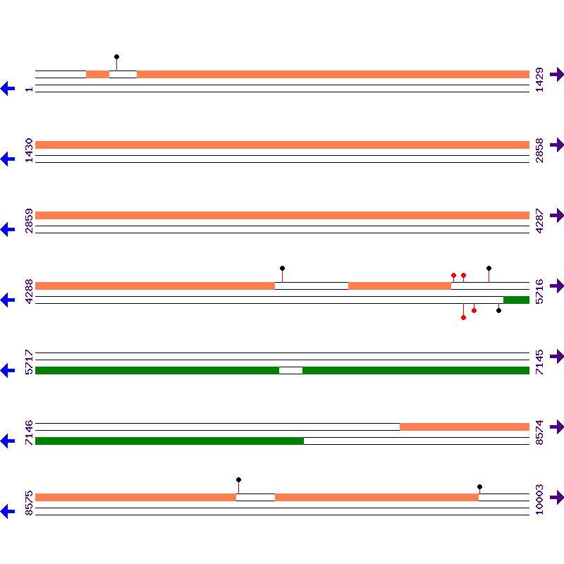 Genome View