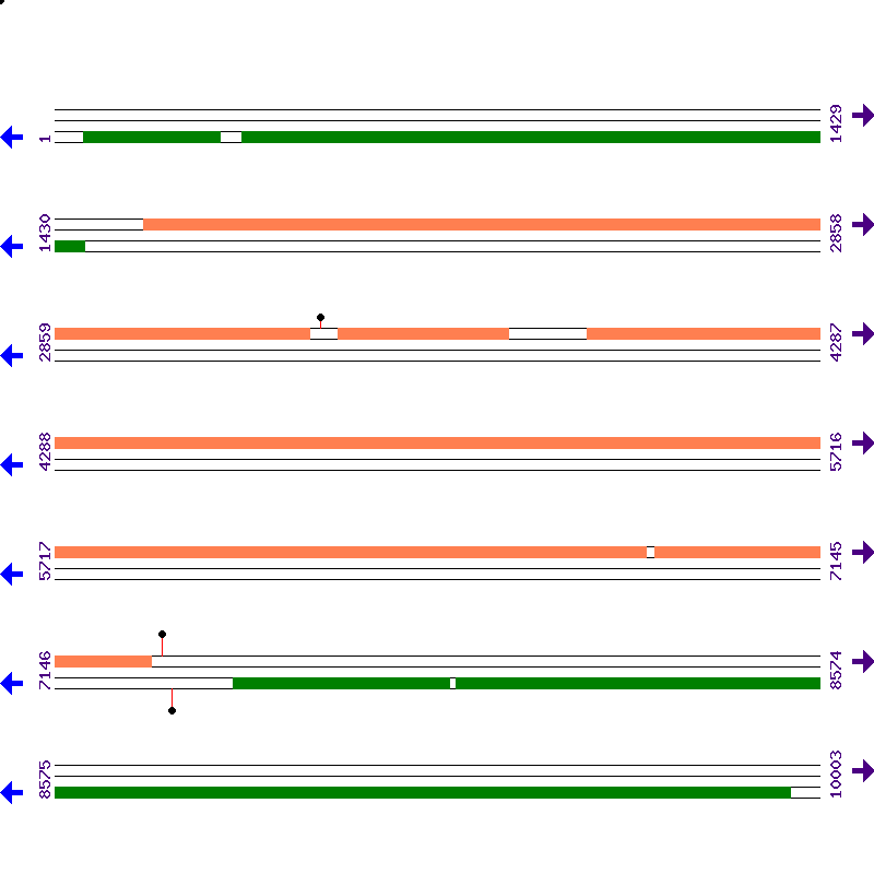 Genome View