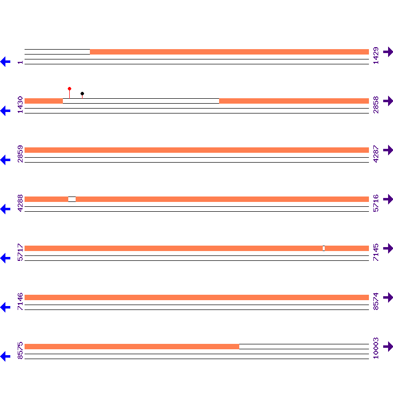Genome View