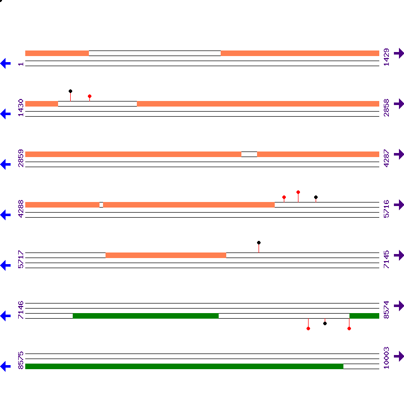 Genome View