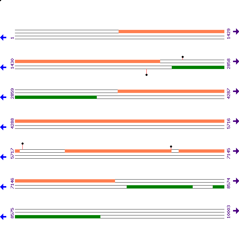 Genome View