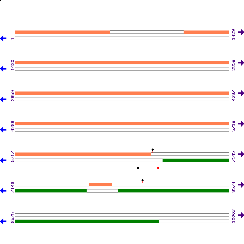 Genome View