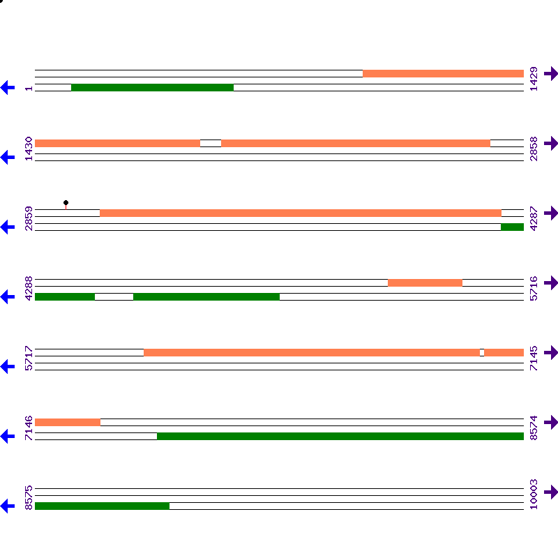 Genome View