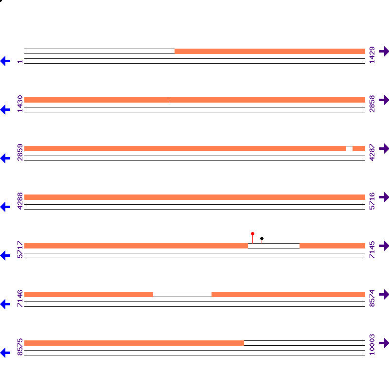 Genome View