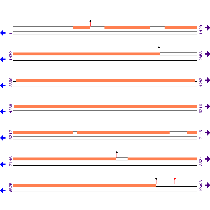 Genome View