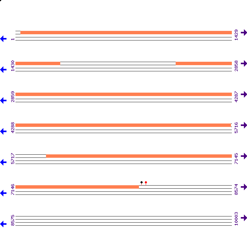 Genome View