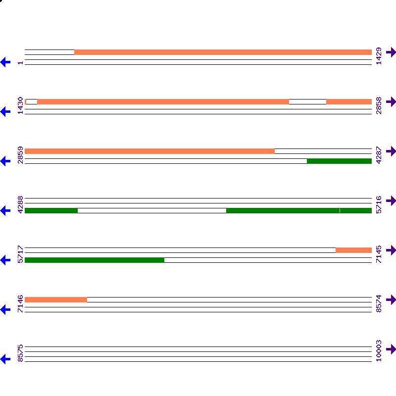 Genome View