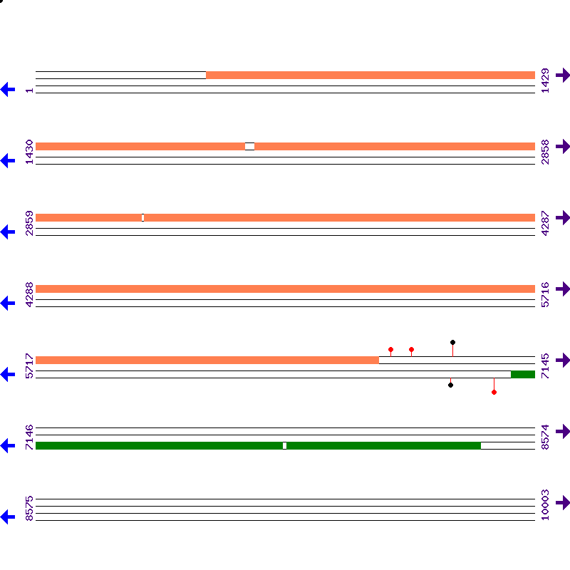 Genome View