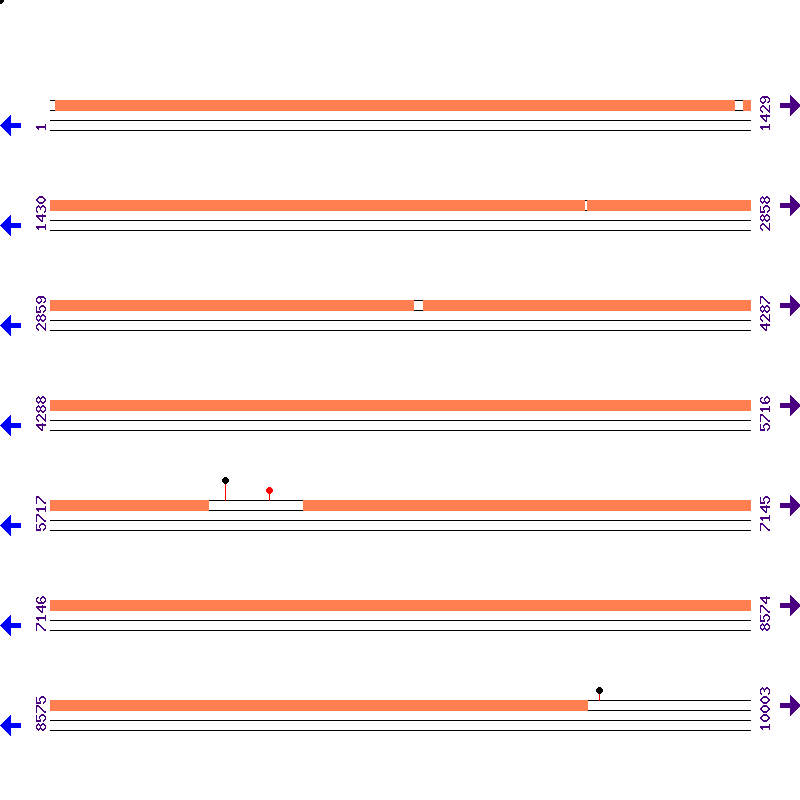Genome View