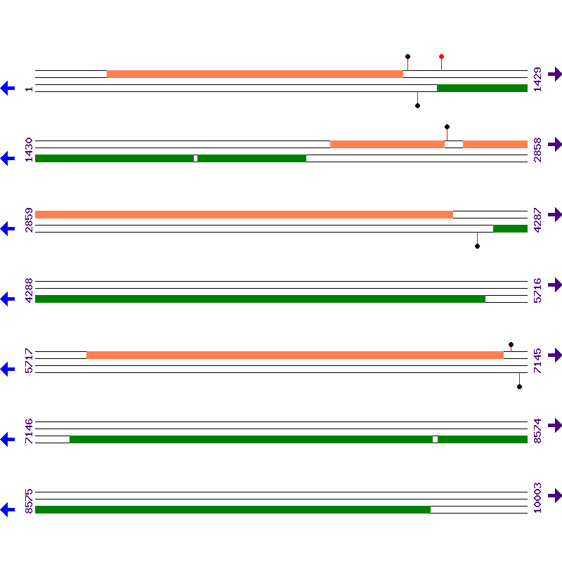 Genome View