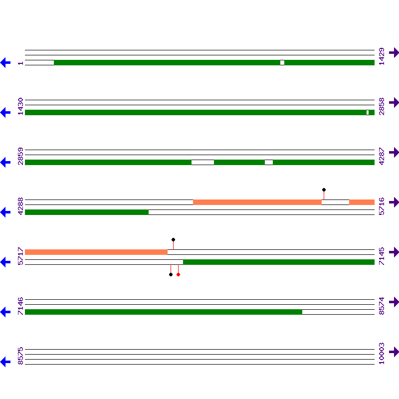 Genome View
