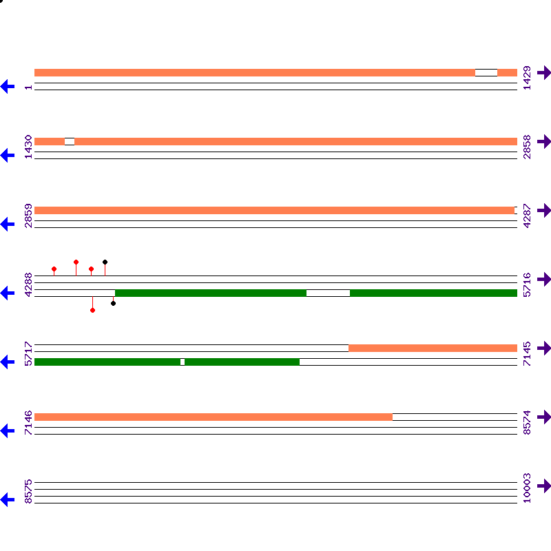 Genome View